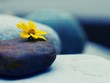 Sự kiện chứng khoán đáng chú ý ngày 11/2