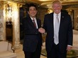 Ông Abe và ông Trump gặp nhau tại Trump Tower năm ngoái. Ảnh: AP