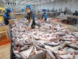 Nỗi đau của thủy sản Việt Nam khi bị truyền thông phương Tây “tố”