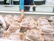 Đùi gà Mỹ nhập về Việt Nam chỉ 15.500 đồng một kg
