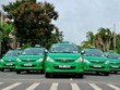 Chủ tịch Mai Linh cho rằng sự xuất hiện ngày càng nhiều của Uber và Grab tại những thành phố lớn là nguyên nhân dẫn đến tình cảnh khó khăn của các hãng taxi truyền thống.