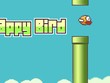 Nguyễn Hà Đông: 'Tôi không biết tại sao Flappy Bird thành công'