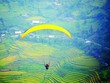 Bay dù lượn ngắm ruộng bậc thang mùa nước đổ