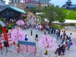 Tròn 1 năm Sun World Halong Complex mở cửa đón du khách