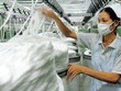 Sản phẩm sợi Việt Nam xuất sang Mỹ nằm trong 4 nước, vùng lãnh thổ bị điều tra chống bán phá giá. Ảnh: Vinatex