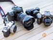 Máy ảnh mirrorless cho nhu cầu cá nhân còn DSLR được nhiều người lựa chọn phục vụ công việc nhờ độ tin cậy. 