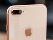 iPhone 8 và 8 Plus có mặt lưng kính dù kiểu dáng vẫn như iPhone 7 và 7 Plus.