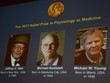 Ba nhà khoa học Mỹ giành Nobel Y học 2017 - Ảnh: AFP