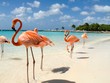 10 điểm đến dân không đông bằng khách
