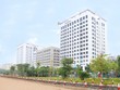 Toàn cảnh dự án nhìn từ phía Vinhomes Riverside.