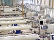 SCIC thoái vốn khỏi Nhựa Bình Minh (BMP): Giá khởi điểm 96.500 đồng/cổ phiếu