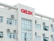 Gelex phát hành 53,3 triệu cổ phiếu tăng vốn và trả cổ tức bằng tiền 10%