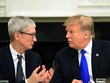 CEO Apple thảo luận với Tổng thống Mỹ Donald Trump. Ảnh: AP