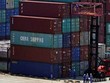 Các container hàng hóa tại cảng Dương Sơn, Thượng Hải, Trung Quốc. Ảnh: Reuters.