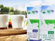 Invest Tây Đại Dương đã thoái xong toàn bộ vốn tại GTNFoods (GTN)