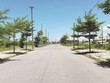 Thị trường đất nền Đà Nẵng và vùng phụ cận có nhiều chuyển động mới.