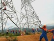 Nửa đầu năm 2024, Sông Đà 11 (SJE) báo lãi gấp 4 lần nhờ dự án đường dây 500kV Quảng Trạch - Phố Nối