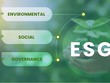 Đầu tư ESG tại Việt Nam: Nhà đầu tư gặp khó khăn gì?
