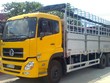 Giá nhiều loại xe nhập từ Trung Quốc chỉ được khai bằng một nửa giá thực tế để lách thuế. Ảnh minh hoạ