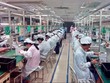 Việt Nam trở thành công xưởng sản xuất đang lên của thế giới
