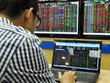 Quý III/2015, thêm 11 doanh nghiệp mới chào sàn HOSE