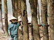 Cổ phiếu cần quan tâm ngày 13/4