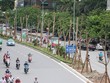 Chủ trương trồng 1 triệu cây xanh của thành phố trong thời gian tới đây là mục tiêu chiến lược