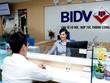 BIDV (BID) chốt danh sách cổ đông trả cổ tức 8% bằng tiền mặt