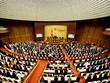 Câu chuyện được mùa mất giá và giải cứu nông sản vào nghị trường