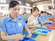 Tập đoàn Thiên Long (TLG) nới room ngoại lên tối đa 100%
