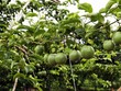 Cổ phiếu cần quan tâm ngày 2/8
