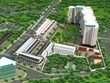 Cổ phiếu cần quan tâm ngày 8/8