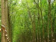 Cổ phiếu cần quan tâm ngày 9/8