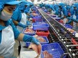 Thủy sản Mekong (AAM) chốt danh sách cổ đông trả cổ phiếu thưởng, tỷ lệ 30%.