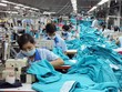 Đầu tư T.T.A “quyết tâm” để trở thành cổ đông lớn nhất của Garmex Sài Gòn (GMC)