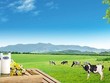 Cổ phiếu cần quan tâm ngày 19/12