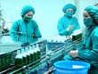 Dược phẩm Pharmedic (PMC) tạm ứng cổ tức 10% bằng tiền mặt