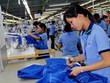 Nguy cơ vượt ngưỡng quy định đối với một số hàng dệt may xuất khẩu vào khu vực EAEU