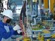Chính phủ cam kết tiếp tục đồng hành và hỗ trợ tối đa cộng đồng doanh nghiệp trong bối cảnh “bình thường mới”