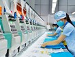 Gilimex (GIL) lên phương án chia cổ tức 20% bằng cổ phiếu