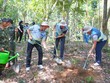 Coteccons khởi động chiến dịch trồng cây “Green Up” trong dự án bảo tồn rừng tại Phong Nha - Kẻ Bàng