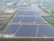 Xung lực mới cho thị trường điện mặt trời