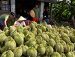 (Ảnh minh họa)