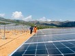 Nhiều nhà đầu tư điện mặt trời tại Ninh Thuận mòn mỏi chờ chính sách giá