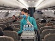 Vietnam Airlines sẽ ngừng phục vụ suất ăn ở tất cả các hạng trên mọi đường bay nội địa