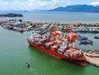 Cảng Quy Nhơn (QNP) mục tiêu lợi nhuận năm 2024 giảm hơn 20%