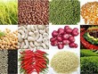 Thị trường hàng hóa tuần 22-26/4: Nông sản trượt giá, cao su trở lại đà tăng sau một tuần mất điểm