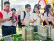 Môi giới bất động sản kỳ vọng vào sự phục hồi sớm của thị trường