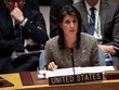 Đại sứ Mỹ tại Liên Hợp Quốc Nikki Haley. Ảnh: AFP