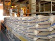 Góp công lớn trong việc đưa xuất khẩu xi măng về đích trước hẹn là những doanh nghiệp quy mô lớn như Vicem, The Vissai, Thăng Long, Nghi Sơn…
